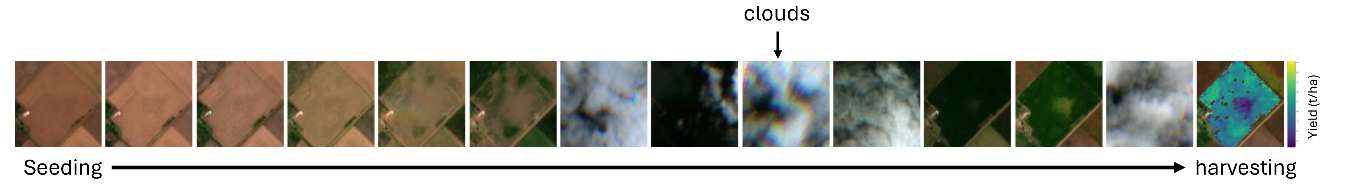 Sentinel-2 time series from seeding to harvest
